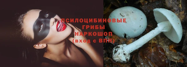 каннабис Белокуриха