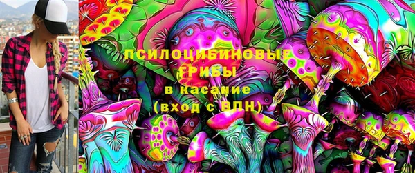 каннабис Белокуриха