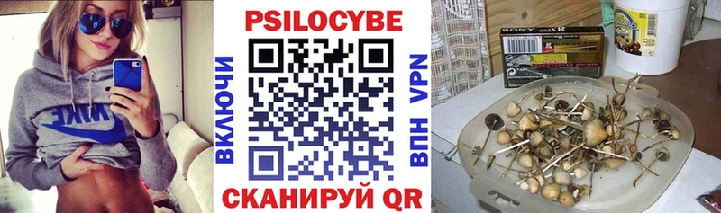 блэк спрут ТОР  Шали  Псилоцибиновые грибы ЛСД 
